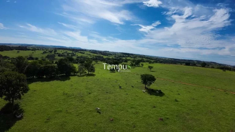 Imagem Fazenda 3 alqueires em Anicuns - Excelente para plantio