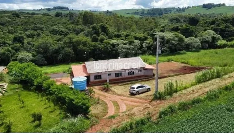 Imagem Chácara à venda 2 Quartos, 2 Suites, 10000M², Jardim Recanto dos Palmares, Apucarana - PR