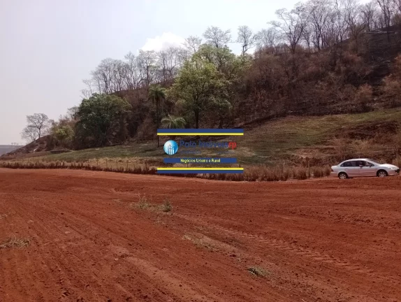 Imagem Fazenda 181 hectares montada para criação de bovinos até 220 cabeças e planta café, próximo de Altinópolis - São Paulo.