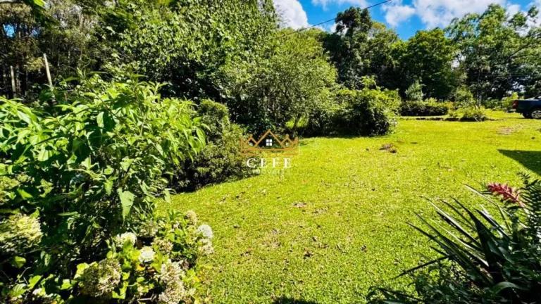 Imagem Chácara - Sítio com 3 Dormitorio(s) localizado(a) no bairro Zona Rural em Santa Maria do Herval / RIO GRANDE DO SUL Ref.:1608