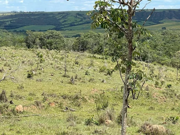 Imagem Fazenda à Venda – 117,3 Hectares em Luziânia-GO