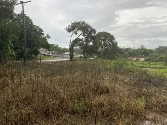 Imagem Lote à Venda com 3.000m2 -Excelente Localização na Colônia Rodrigo Silva