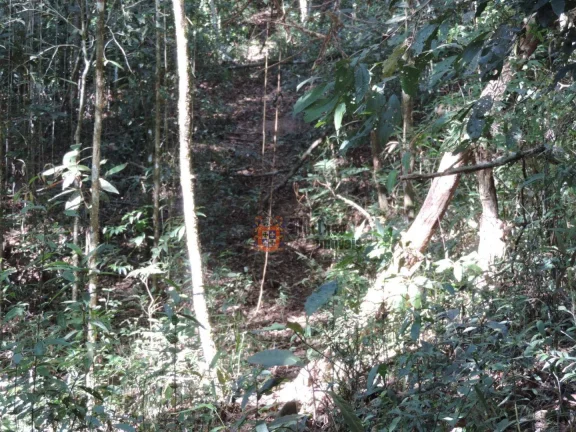 Imagem Sítio com 2 dormitórios à venda, 1000000 m² por R$ 28.000.000,00 - Dos Marmelos - Campos do Jordão/SP