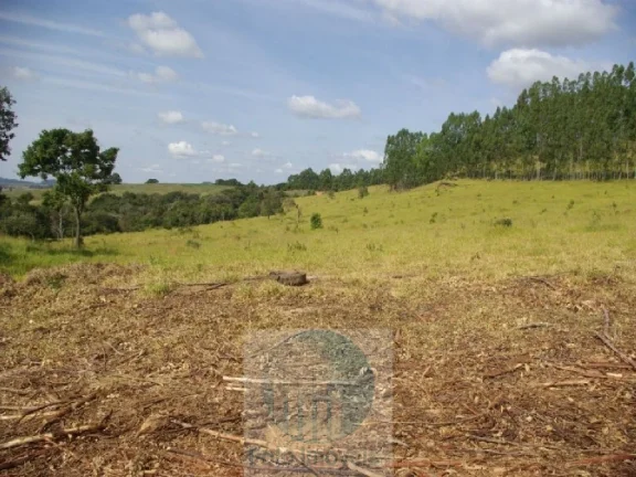 Imagem SÍTIO A VENDA 12,5 ALQUEIRES a R$ 88.000 o Alqueire, JACUÍ - SUL DE MINAS GERAIS, para gado, milho, soja.