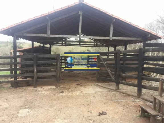 Imagem Sítio 3 alqueires ou 7,26 hectares com casa, cercada, 6.000 pés de café em São Tomás de Aquino - MG