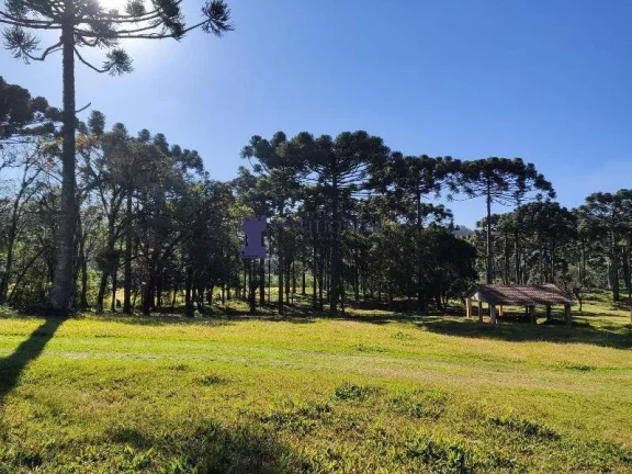 Imagem CHÁCARA NA REGIÃO NO BUGRE EM BALSA NOVA