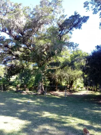 Imagem Chácara - Sítio com 2 Dormitorio(s) localizado(a) no bairro Itapuã em Viamão / Rio Grande do Sul Ref.:57580006