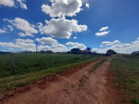 Imagem Fazenda à venda em Ibertioga, ZONA RURAL, 148ha