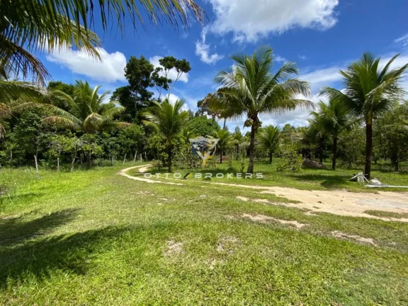 Imagem SITIO RURAL em SANTA CRUZ CABRÁLIA - BA, BR 367
