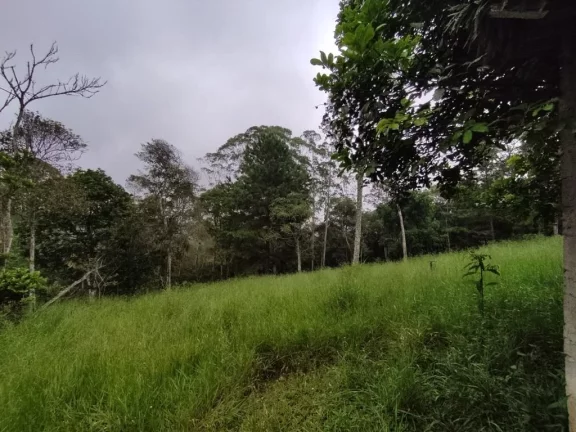 Imagem CHÁCARA RESIDENCIAL À VENDA, ESTÂNCIA PIRATININGA/PALMEIRAS, SUZANO
