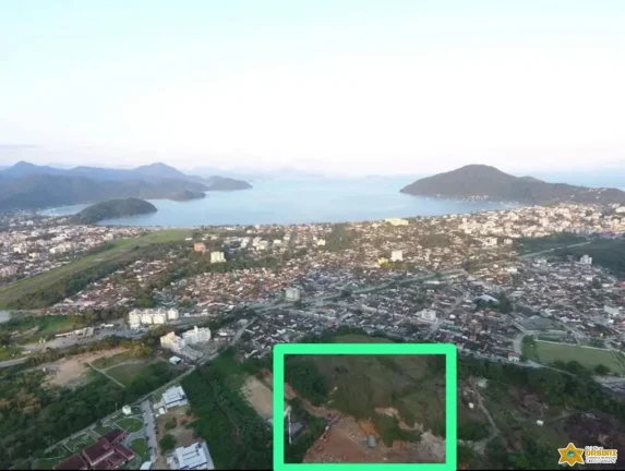 Imagem Vendo lote documentado no Jardim Tropical - Estufa 2