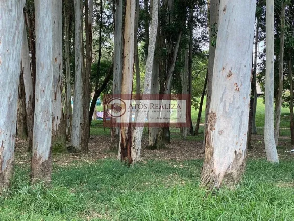 Imagem Apartamento em Parque das Arvores - São Paulo