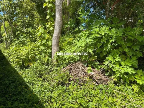 Imagem Terreno na Praia do Estaleiro, Balneário Camboriú/SC