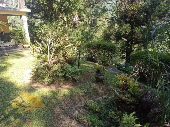 Imagem Alugo Chácara em Theodoro com 3 quartos e 1 suíte