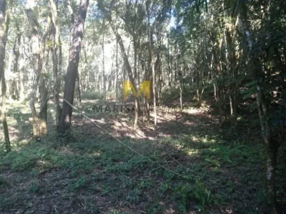 Imagem Chácara, 7000m2, à venda no Recreio da Serra em Piraquara!!!