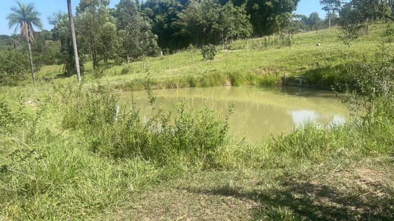 Imagem Chacara a Venda - Bairro Rio Verde