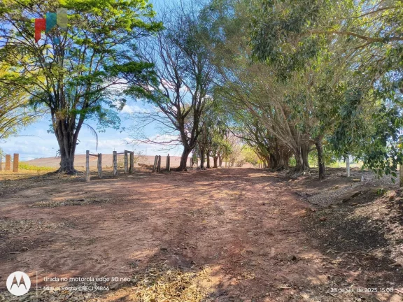 Imagem Fazenda em Tatuí SP