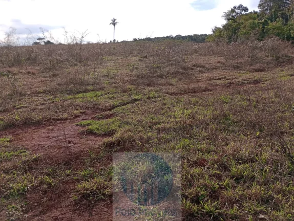 Imagem Sítio vende 10 alqueires em Altinópolis - SP, terra de cultura, vermelha e em pasto.