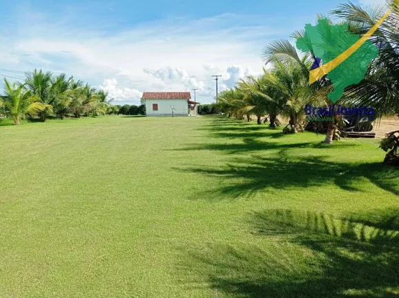 Imagem FAZENDA COM EXCELENTE PRODUÇÃO PRÓXIMA A PORTO SEGURO