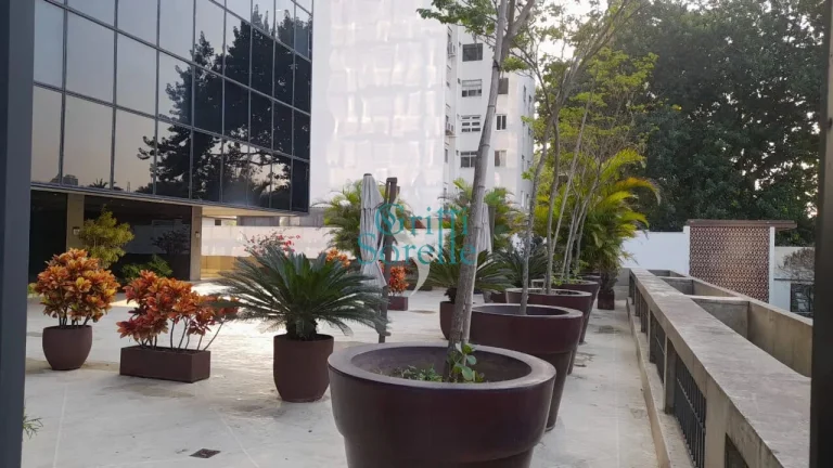 Imagem Conjunto Comercial para Alugar em Jardim Paulistano - São Paulo/SP.