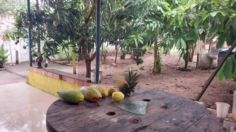 Imagem Sítio à venda