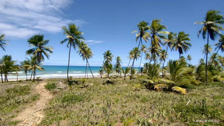 Imagem A sua vida nunca mais será a mesma ao adquirir um lote no Riviera em Praia do Forte, Mata de São João - Bahia
