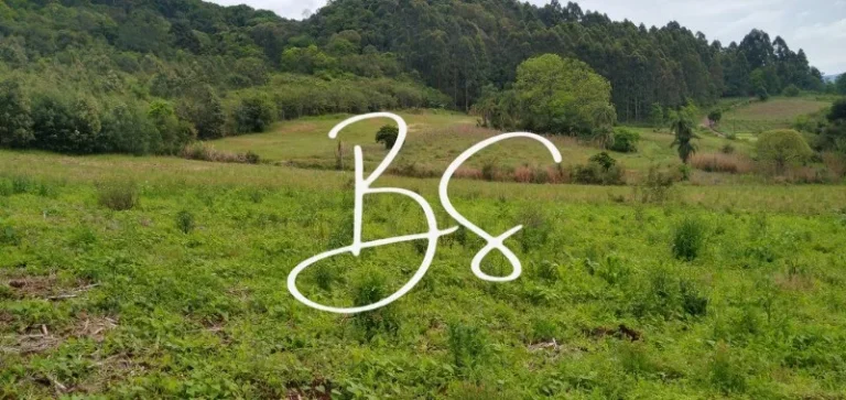 Imagem AREA RURAL em NOVA PETRÓPOLIS - RS, Centro