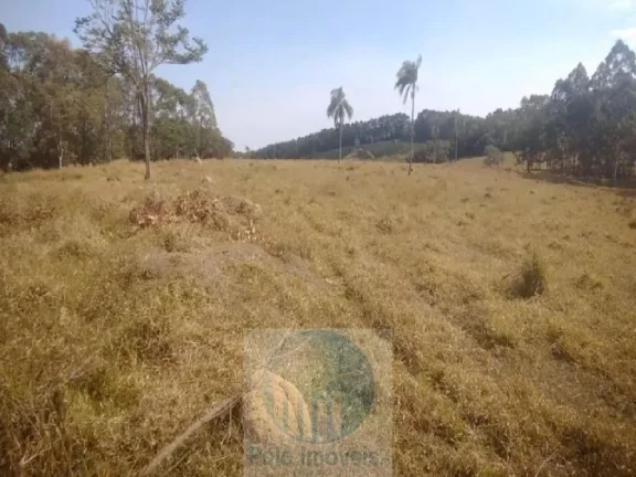 Imagem Sítio planta café 22,34 alqueires, terra vermelha, casa, água, galpão - Zona Rural - Biguatinga l de Minas Gerais