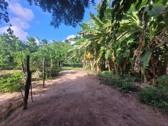Imagem ÁREA COMERCIAL NA TOMAZ LANDIM