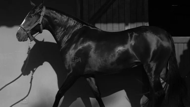 Imagem Condomínio rural com lazer completo perto de BH