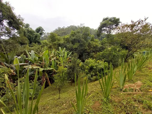Imagem Chácara à venda, 30000 m² por R$ 1.700.000,00 - Renópolis - Santo Antônio do Pinhal/SP
