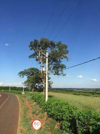 Imagem do anúncio