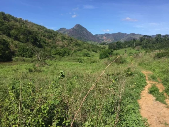 Imagem FAZENDA RURAL em COLATINA - ES, ÁREA RURAL DE COLATINA