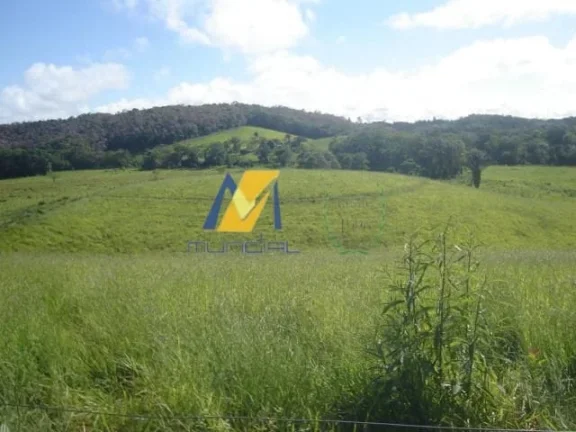 Imagem Vendo Terreno em Suzano - SP