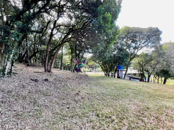Imagem Chácara à venda no bairro Ana Rech - Caxias do Sul/RS