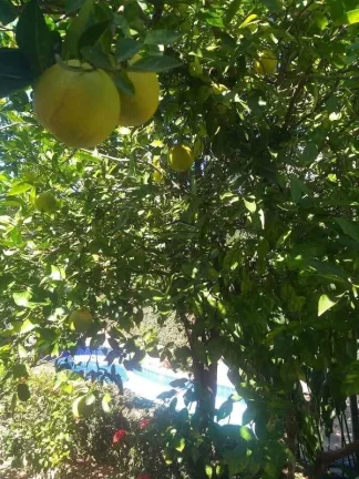 Imagem Ponto Comercial à venda no bairro Nova Guará - Guaratinguetá/SP