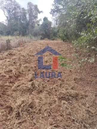Imagem TERRENO RURAL em CRUCILANDIA - MG, CACHOEIRA DOS AMORINS