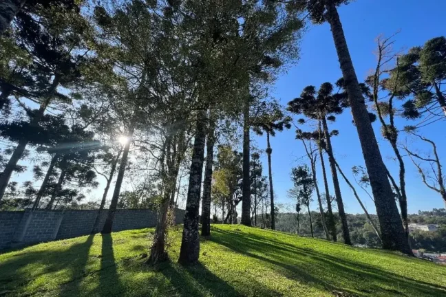 Imagem Residencial das Araucárias