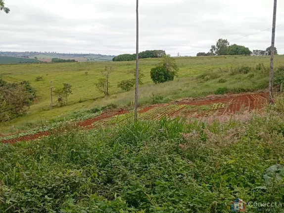 Imagem Fazenda à Venda em Patos de Minas – 6 Hectares na Zona Rural por R$ 1,8 Mi