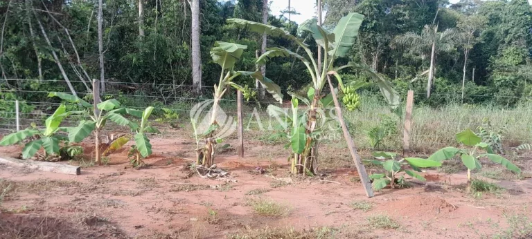 Imagem OPORTUNIDADE PARA VOCÊ QUE BUSCA COMPRAR SUA CHACARA, SINOP - MT