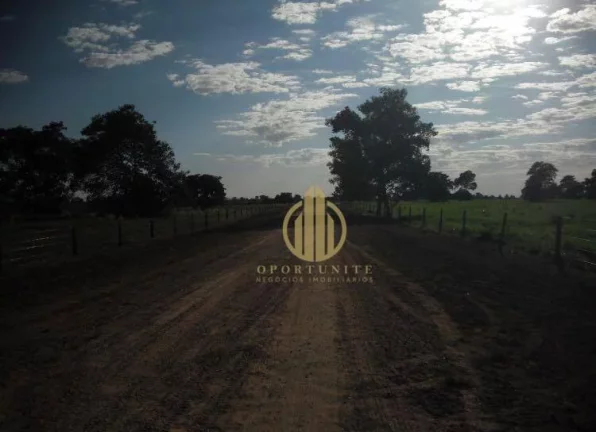 Imagem FAzenda Nova Xavantina