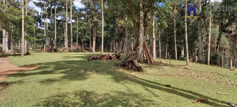 Imagem SITIO RESIDENCIAL/COMERCIAL em CAMPO ALEGRE - SC, AVENQUINHA