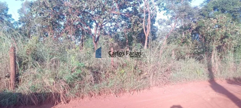 Imagem Chácara para Venda em Brasília, Setor Habitacional Jardim Botânico