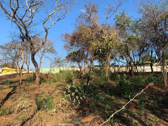 Imagem EXCELENTE LOTE DE 360 M²,BAIRRO SATÉLITE EM JUATUBA!