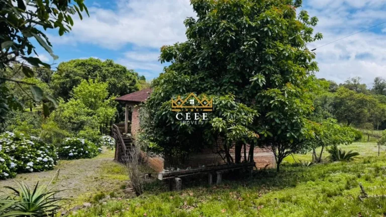 Imagem Chácara - Sítio com 2 Dormitorio(s) localizado(a) no bairro Serra Grande em Três Coroas / RIO GRANDE DO SUL Ref.:1597