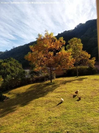 Imagem Sítio para Venda em Morro Reuter, Morro Reuter