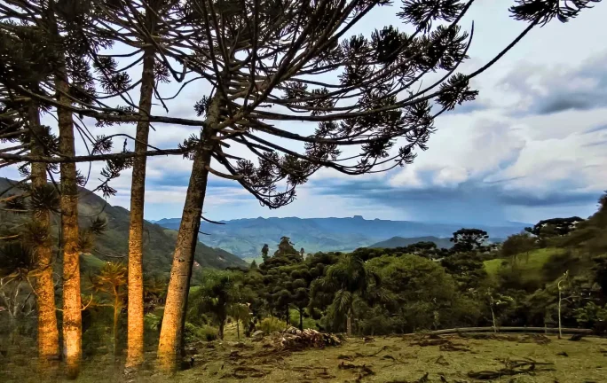 Imagem Arquitetura que se Mescla à Paisagem: Refúgio Autoral com Vista para a Pedra do Baú