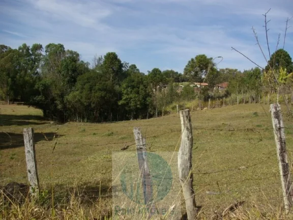 Imagem SÍTIO A VENDA 66,5 HECTARES para GRÃOS E GADO, JACUÍ MG