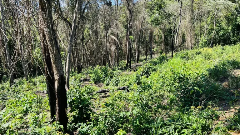Imagem Terreno à venda em Estância Santa Maria do Laranjal, Atibaia - SP