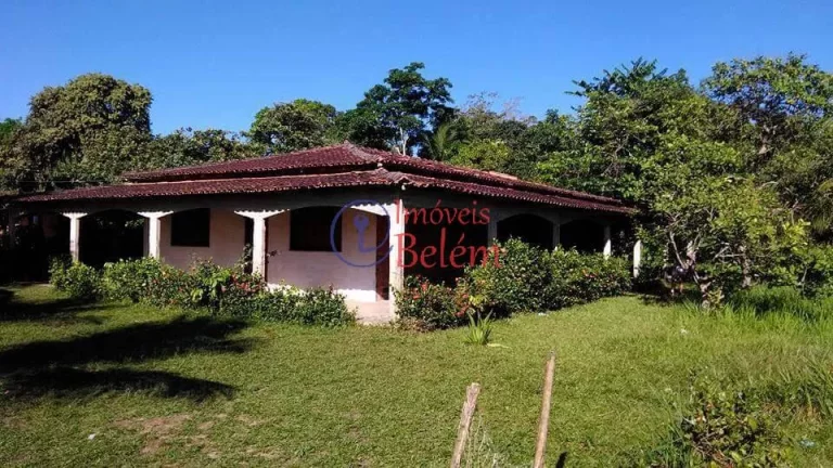 Imagem Imóveis Belém vende casa em Vigia Imagem Imóveis Belém vende casa em Vigia